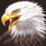 kcaeagle