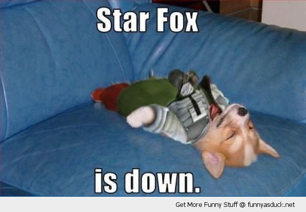 funny-star-fox-is-down-dog-pics.jpg