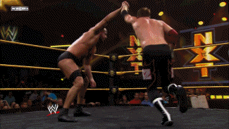 p.gif