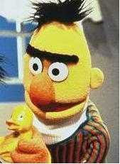 bert.jpg