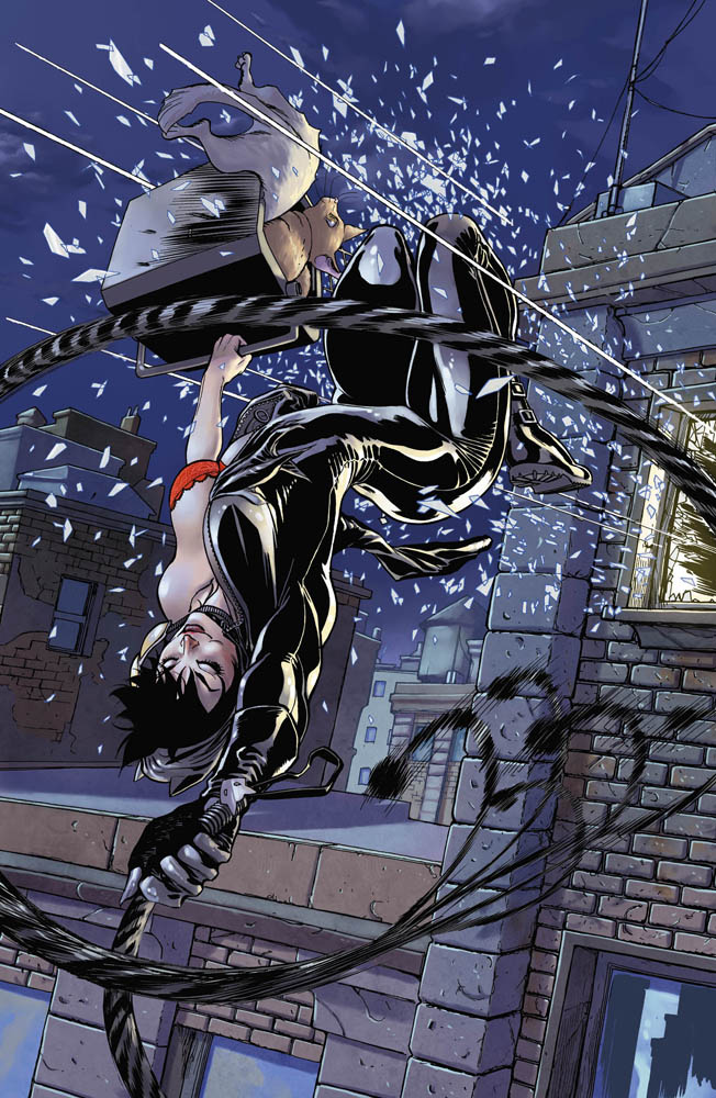 Catwoman-Cover.jpg