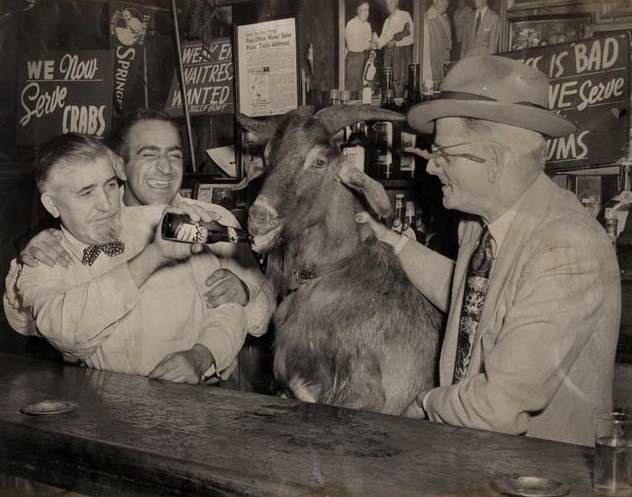 curse-of-the-billy-goat.jpg