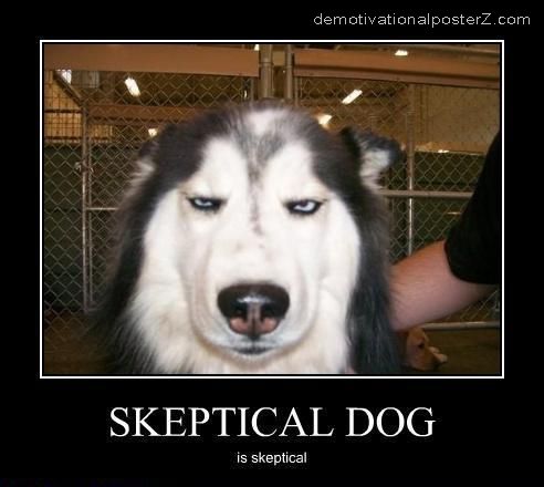 1+skeptical+dog.jpg