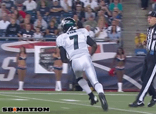 Vick_Injury.gif