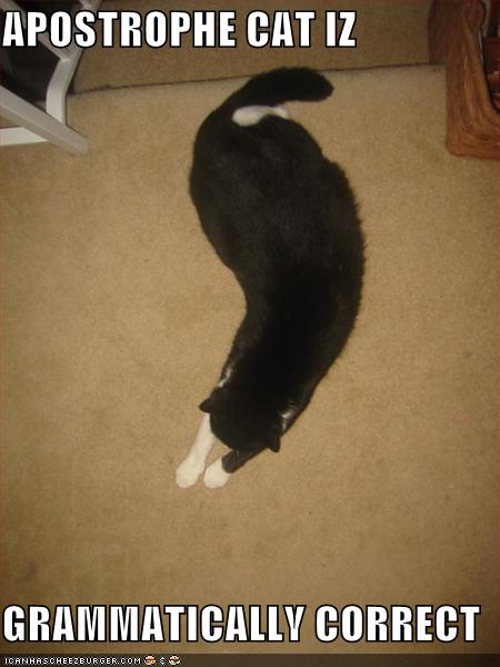 funny-pictures-apostrophe-cat11.jpg