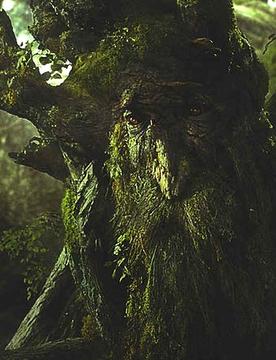 Treebeard.jpg