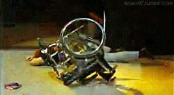 tumblr_lzd85pRic31r05fpho1_250.gif