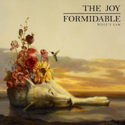 the-joy-formidable-album-cover.jpg