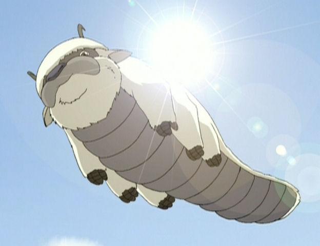 appa_flying.jpg