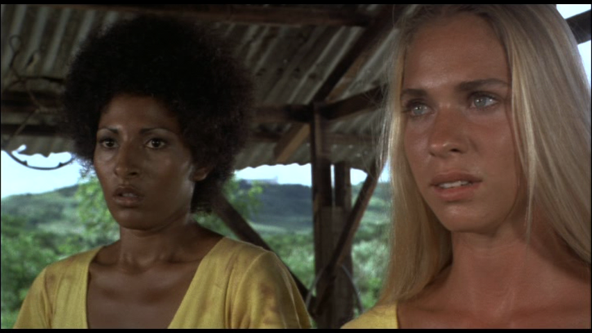 Black-Mama-White-Mama-Pam-Grier-Margaret-Markov.png
